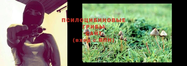 apvp Вяземский