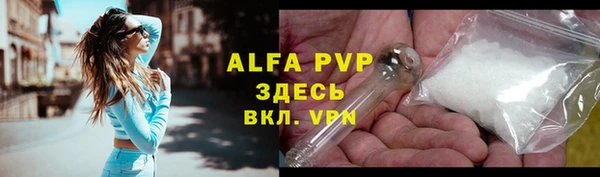 apvp Вяземский