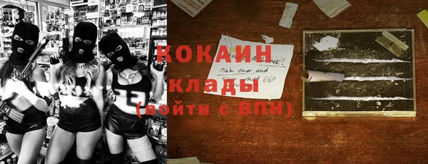 apvp Вяземский