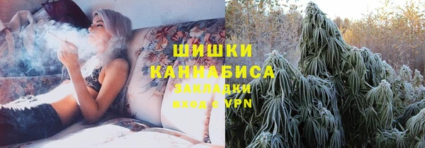 apvp Вяземский