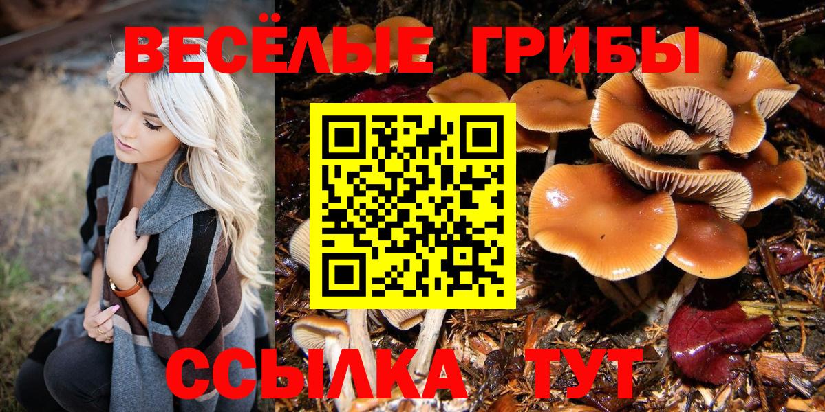 Донецк  Псилоцибиновые грибы MAGIC MUSHROOMS  Псилоцибиновые грибы прущие грибы  Вход с VPN 